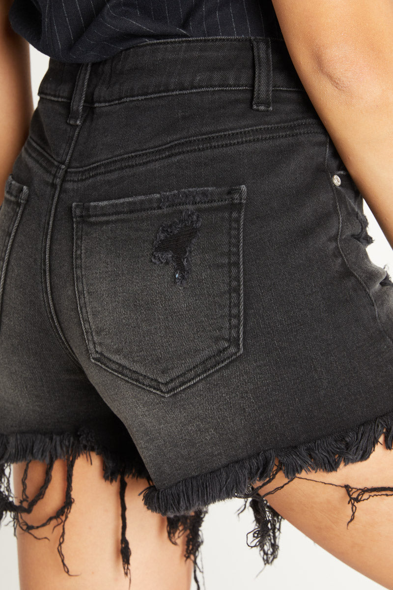 High Rise Distressed Denim Shorts