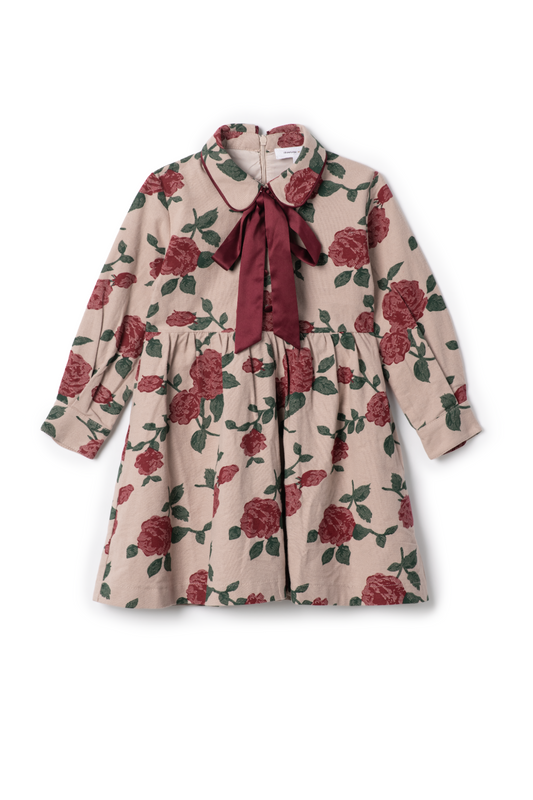 Printed Woven Dress