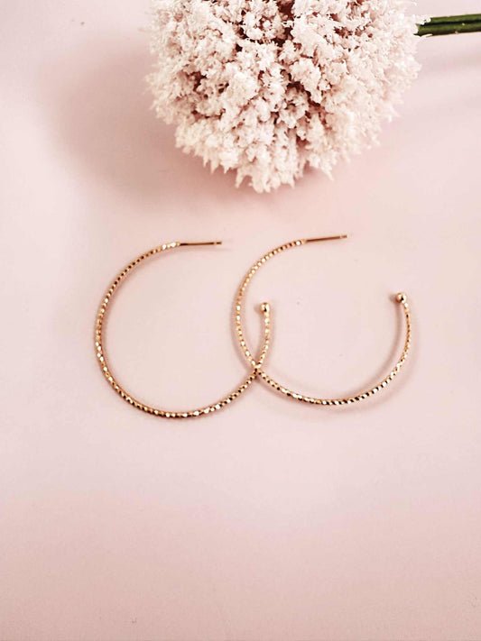 Dainty Rose Gold Hoops