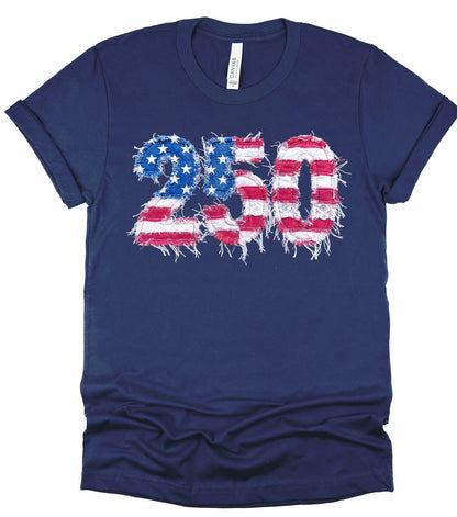 250 Years Faux Patchwork Gildan Tee