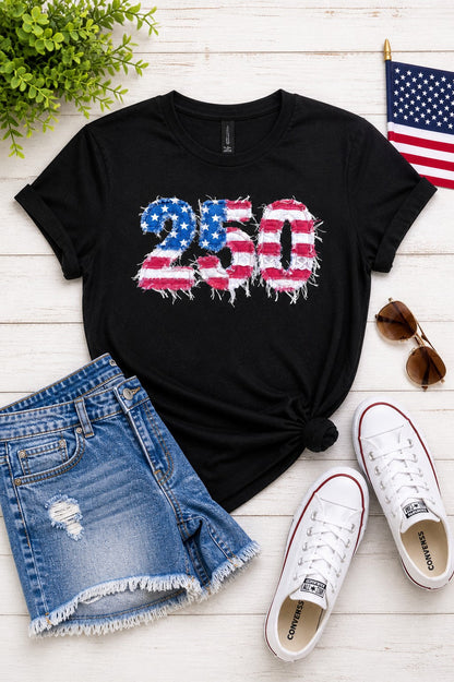250 Years Faux Patchwork Gildan Tee