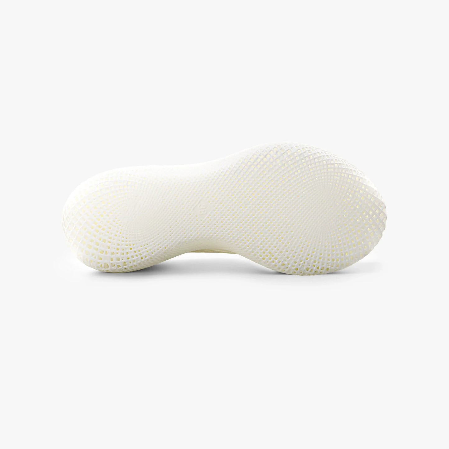 Aeroraise 3D Printed Sneakers