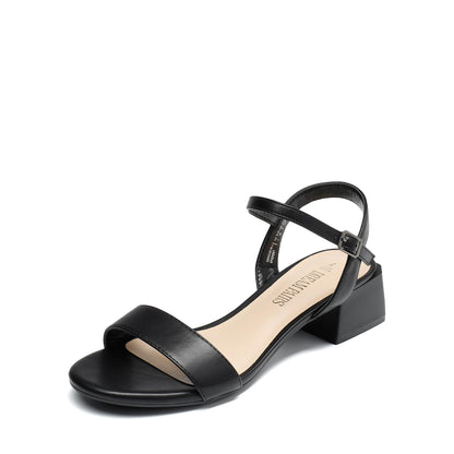 DREAM PAIRS Women's Low Heels for Women Classic Open Toe Ankle Strap Block Chunky Heel Sandals Holiday Party Wedding Dress Pumps Shoes