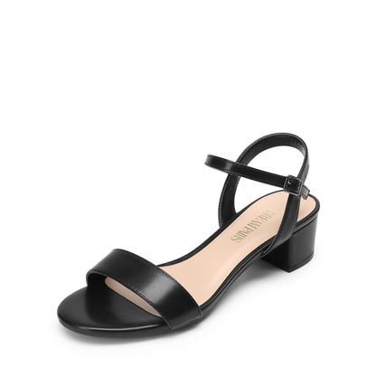 DREAM PAIRS Women's Low Heels for Women Classic Open Toe Ankle Strap Block Chunky Heel Sandals Holiday Party Wedding Dress Pumps Shoes