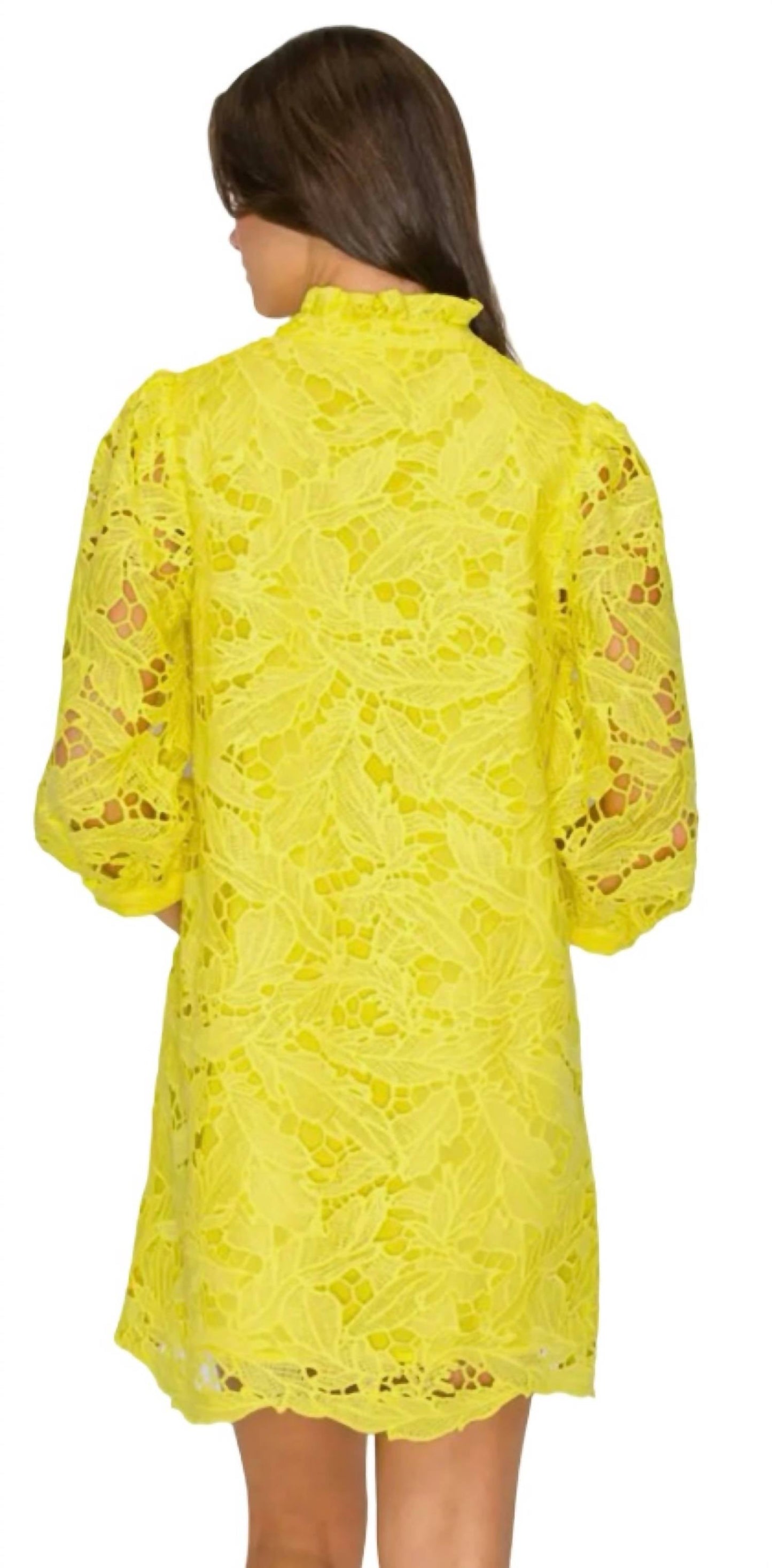 Bloom Lace Dress