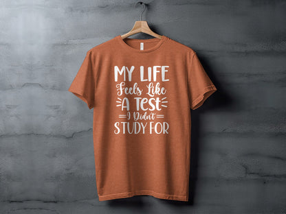 My Life Feels Like A Test I Didn't Study For T-Shirt