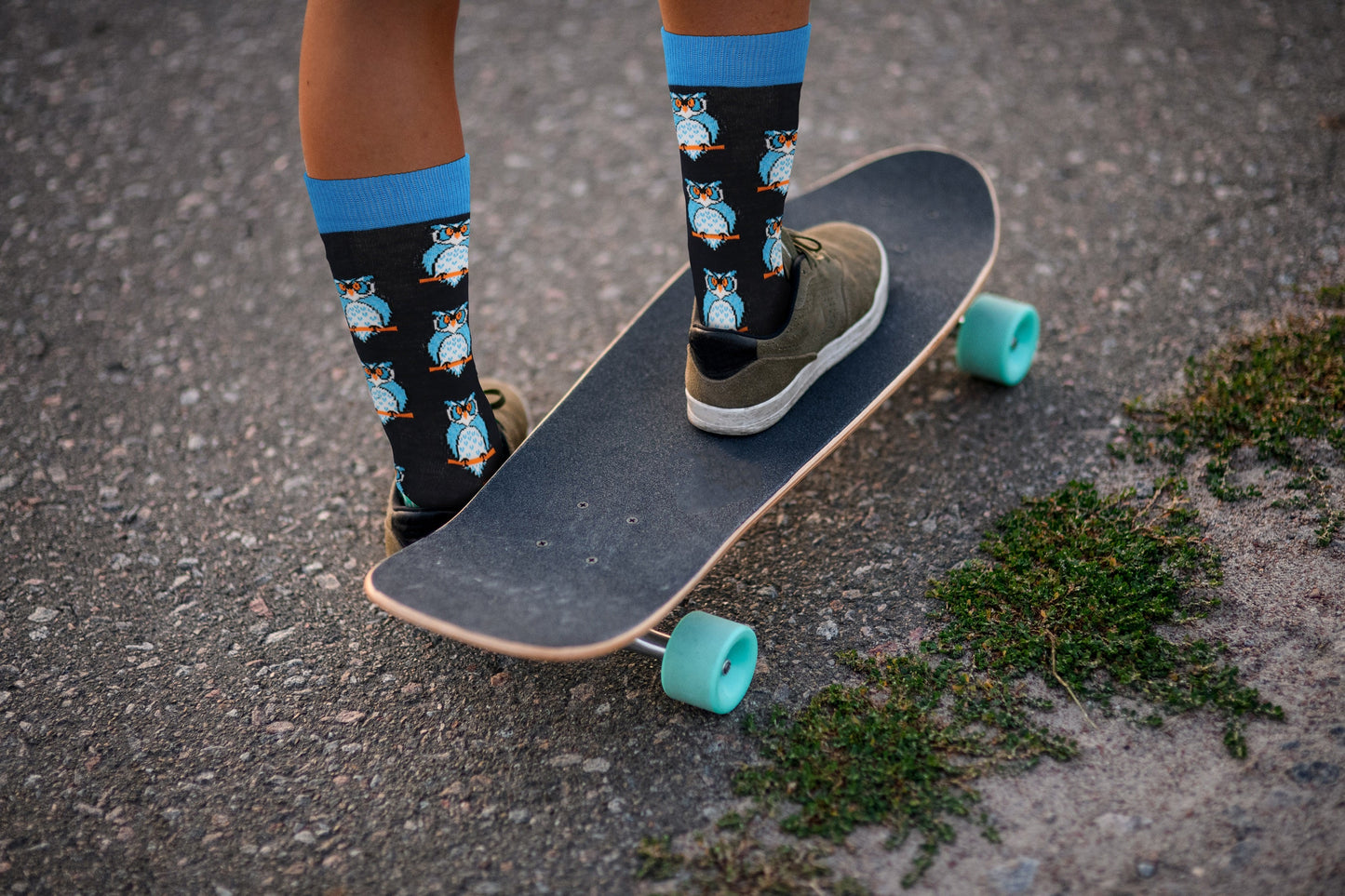 Owl Socks - Comfy Cotton for Men & Women
