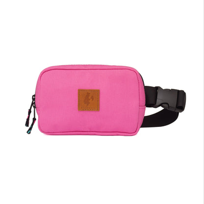 Canvas Crossbody Belt Bag Pouch, The Everywhere Belt Bag 1L