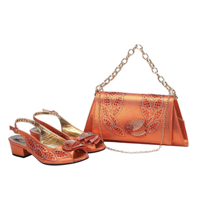 Elegant Low Heels Ladies Shoes And Bag Set - ED110