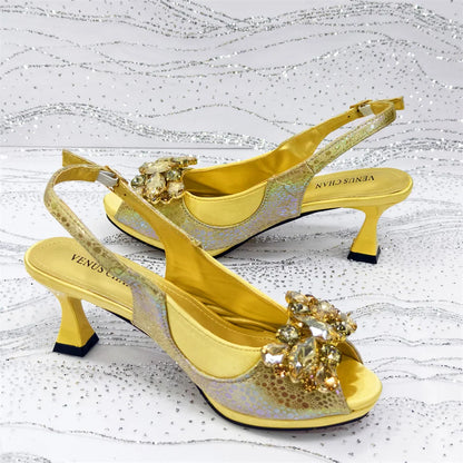Newest Style Elegant Women High Heels And Bag Set EDS345