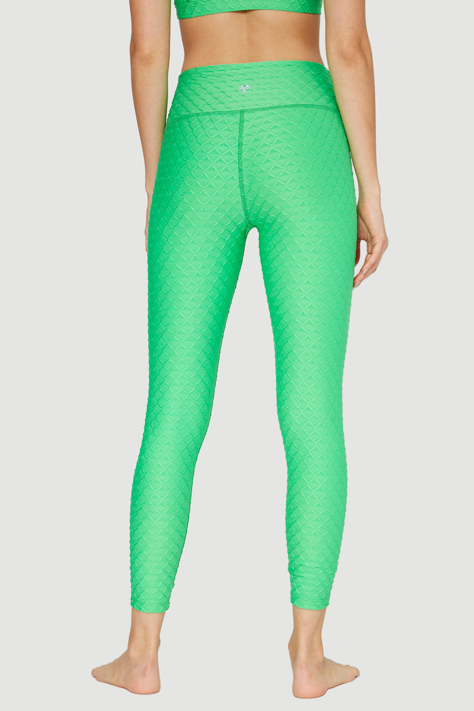 Scallop Legging Made in USA