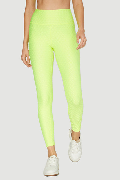 Scallop Legging Made in USA