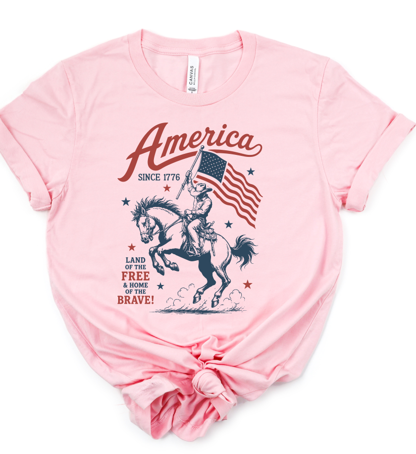 America 1776 Bella Canvas Graphic Tee Top