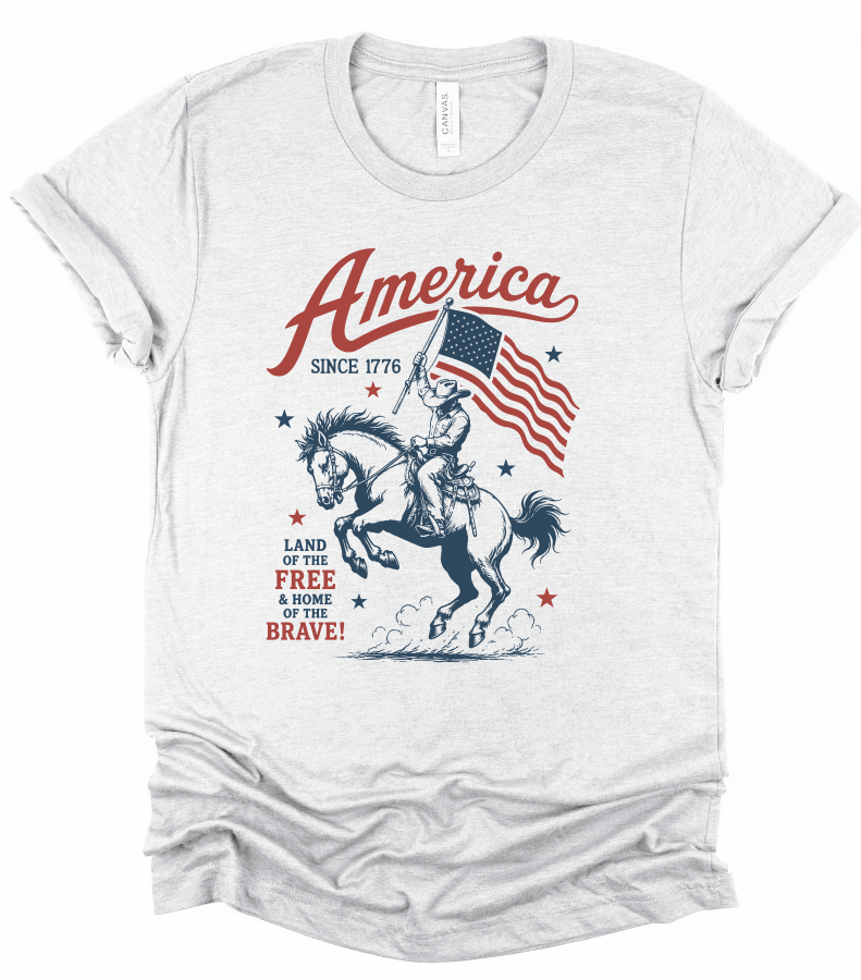 America 1776 Bella Canvas Graphic Tee Top