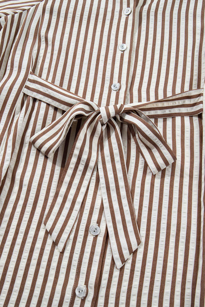 Hanna Sleeve Down Mini Shirt