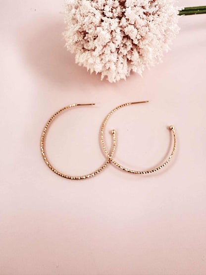 Dainty Rose Gold Hoops