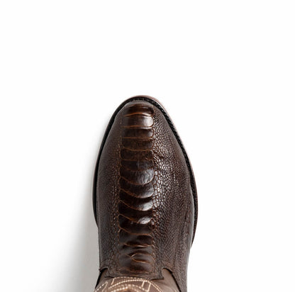 Denver Clear Brown