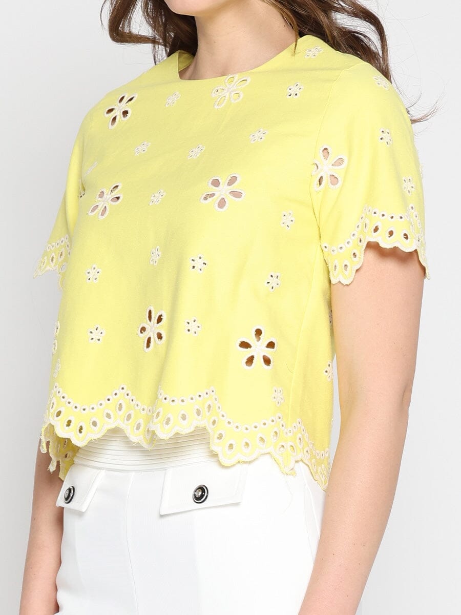 Embroidered eyelet crop top