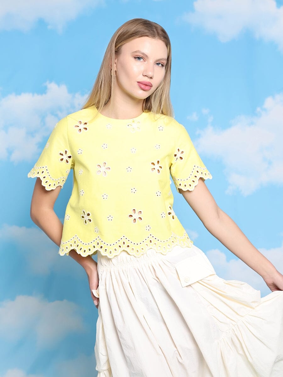Embroidered eyelet crop top